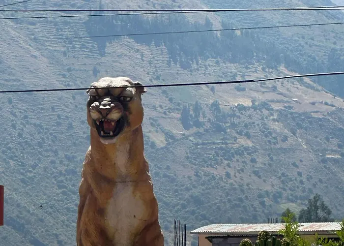 Sacred Valley Boutique Vegan Calca